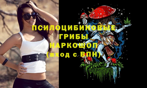эйфоретик Алексеевка