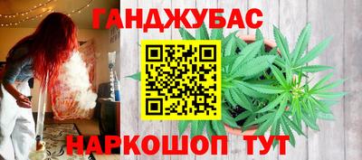 эйфоретик Кингисепп