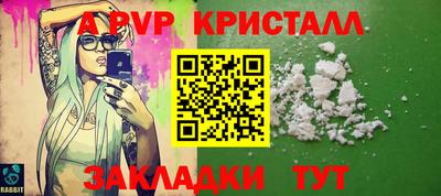 эйфоретик Кингисепп