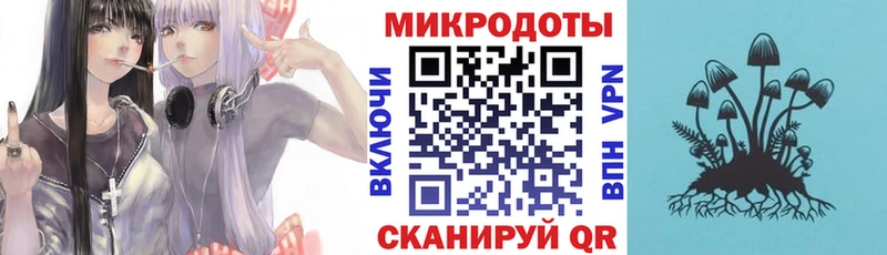 Галлюциногенные грибы мицелий  Кропоткин 