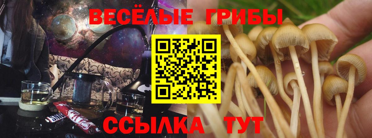 Кропоткин  Псилоцибиновые грибы GOLDEN TEACHER  где можно купить наркотик  Вход с VPN  Галлюциногенные грибы Cubensis 